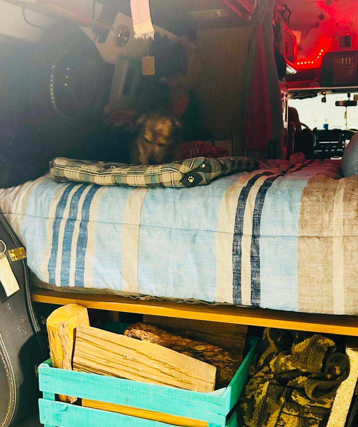 Van Life/RV Neccessities