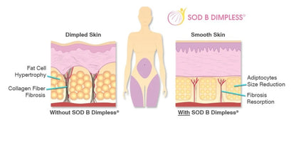 Body Trio System