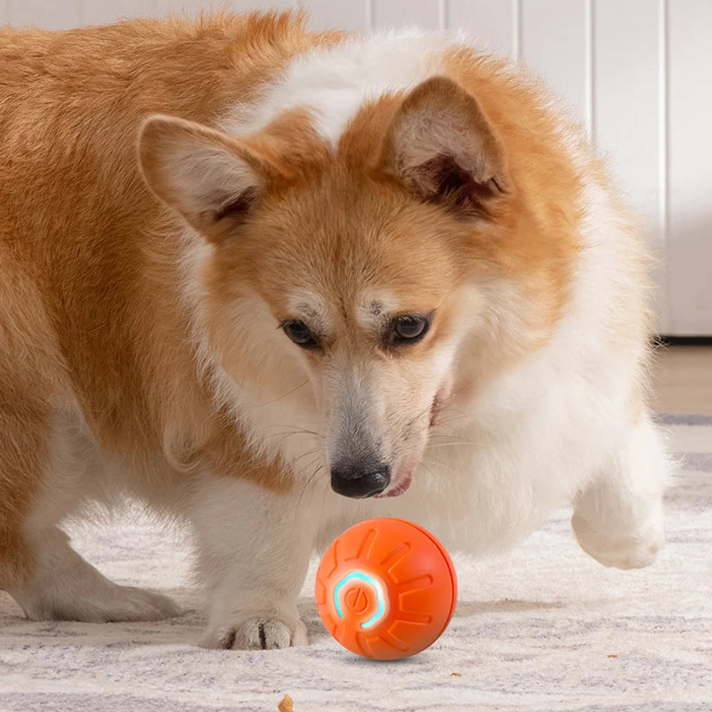 Automatic Moving Dog Toy Ball - Hours of Fun for the Furbaby