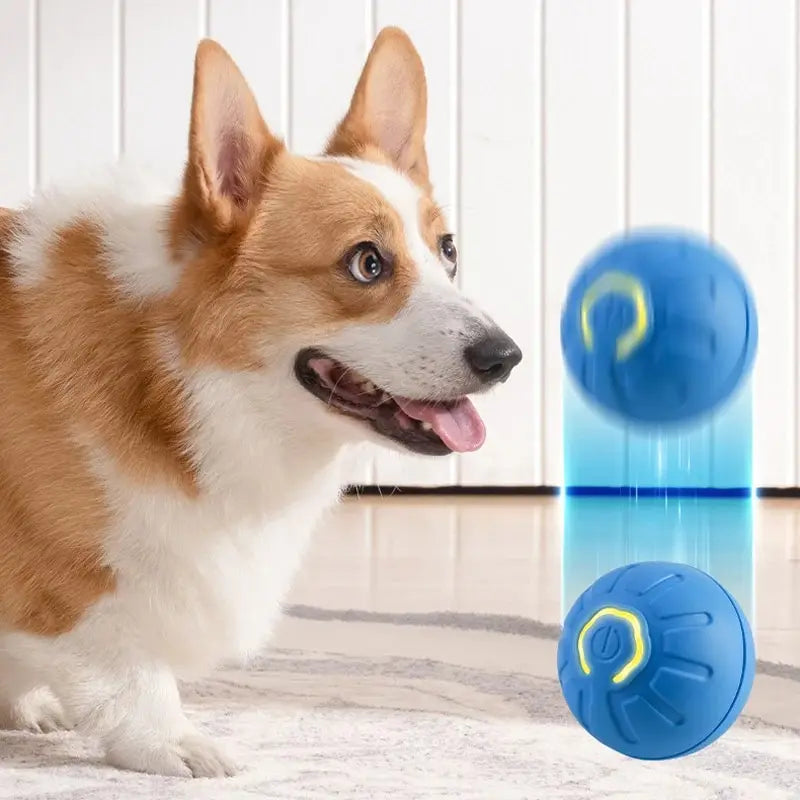 Automatic Moving Dog Toy Ball - Hours of Fun for the Furbaby