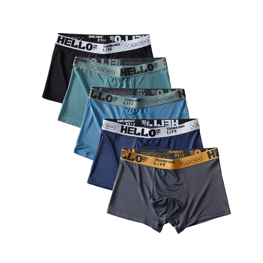 5pcs Ice Silk Men's Boxer Shorts - Hello Sexy